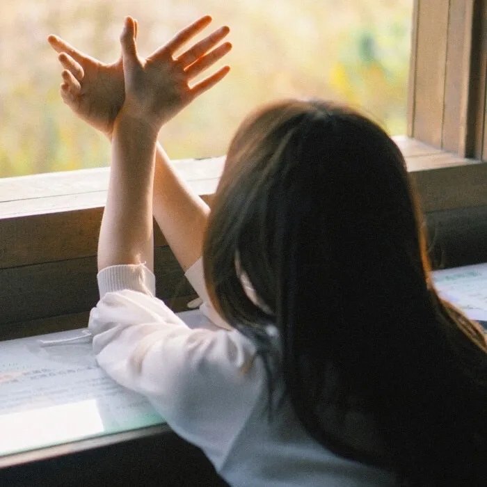 皇宠公主今还朝